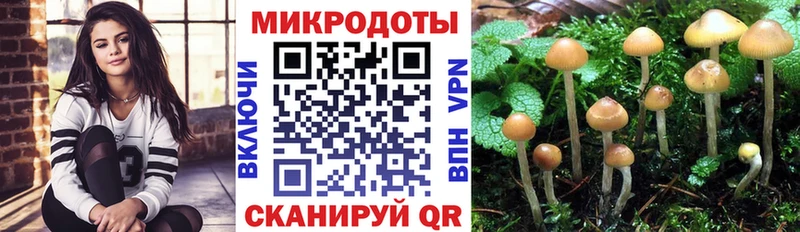Псилоцибиновые грибы мицелий  Котельниково 